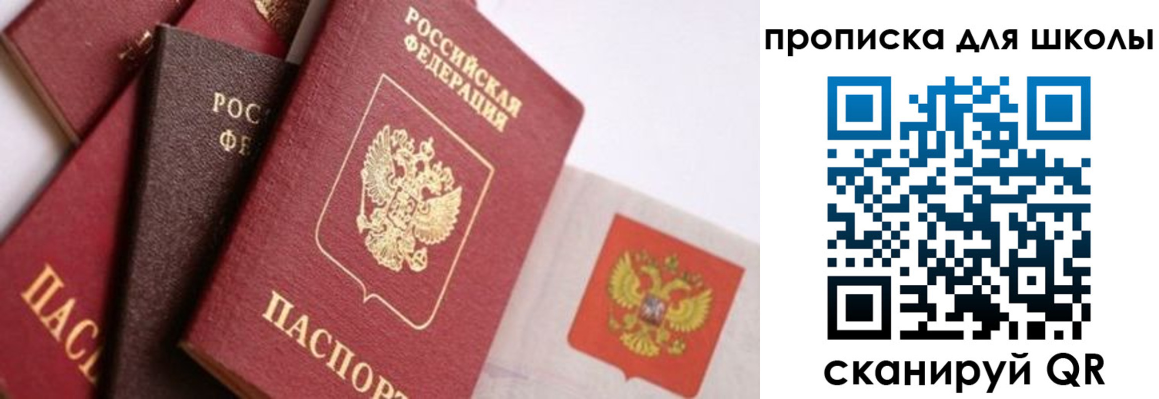 прописка поиск в ЕАО